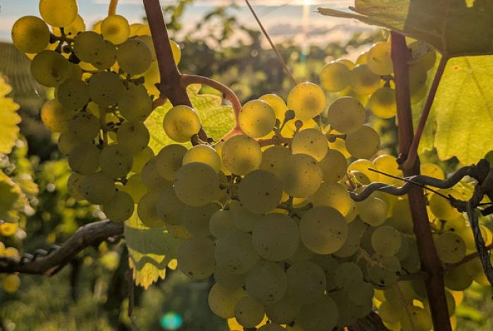 Turboherbst von Süd bis Nord