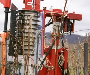 Rebschnitt und Arbeitszeit – teuer wie nie