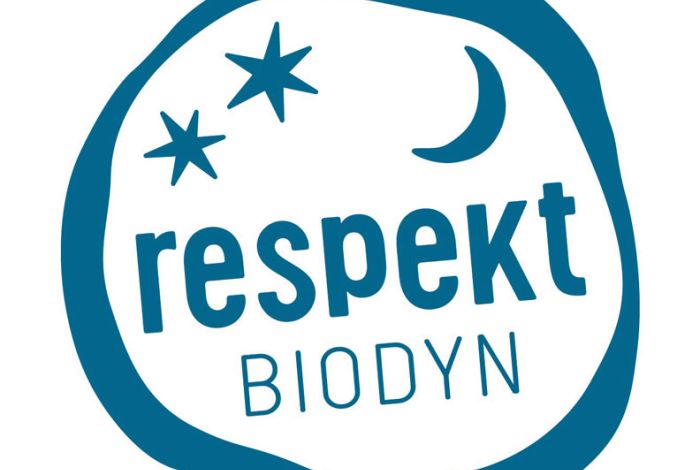 Der Mensch im Mittelpunkt