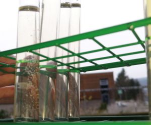 Klar muss Wein klar sein