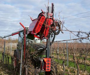 Cane Pruner-Technik im Blick