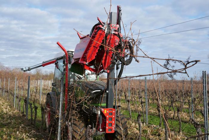 Cane Pruner-Technik im Blick