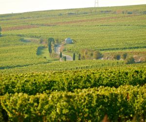 Die neue Pacht-Realität