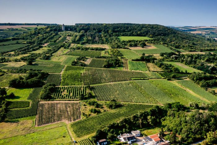 Nicht um jeden Preis akzeptiert