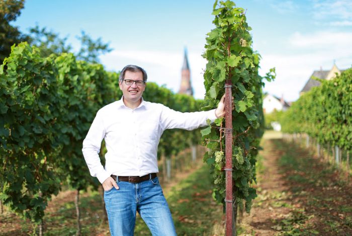 Wie Banken die Lage der Weinbaubetriebe beurteilen