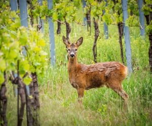 Wir müssen draußen bleiben