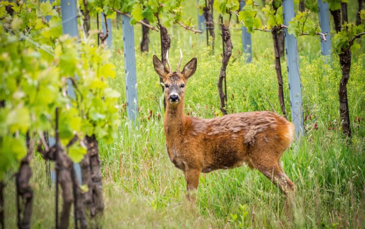 Wir müssen draußen bleiben