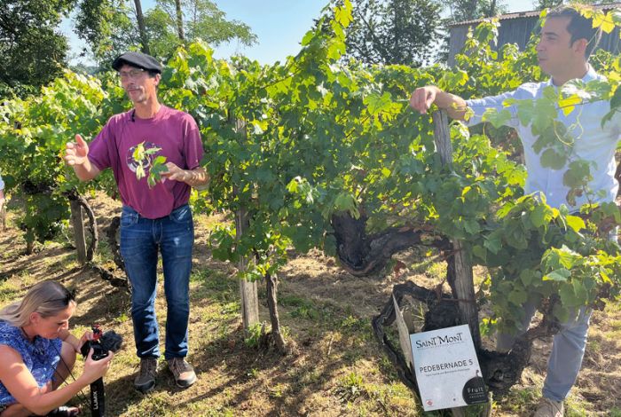 Rebsorten retten, Zukunft gestalten