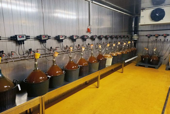 Weniger Risiko durch Pied de Cuve?