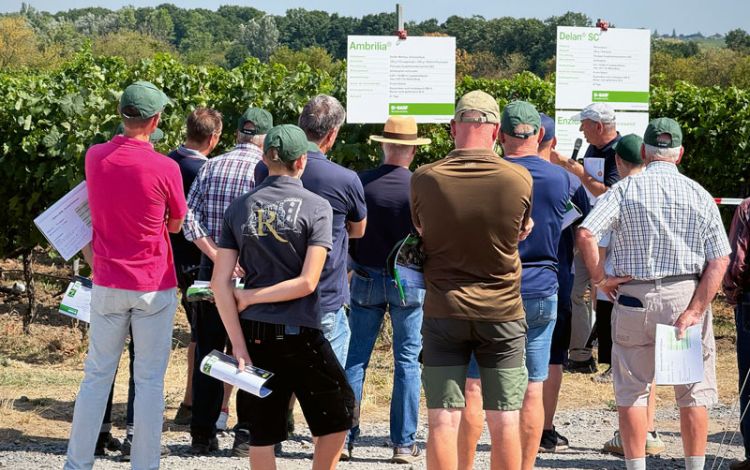 Bayer: Es könnte ein guter Jahrgang werden