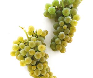 Robuste Innovation verständlich machen